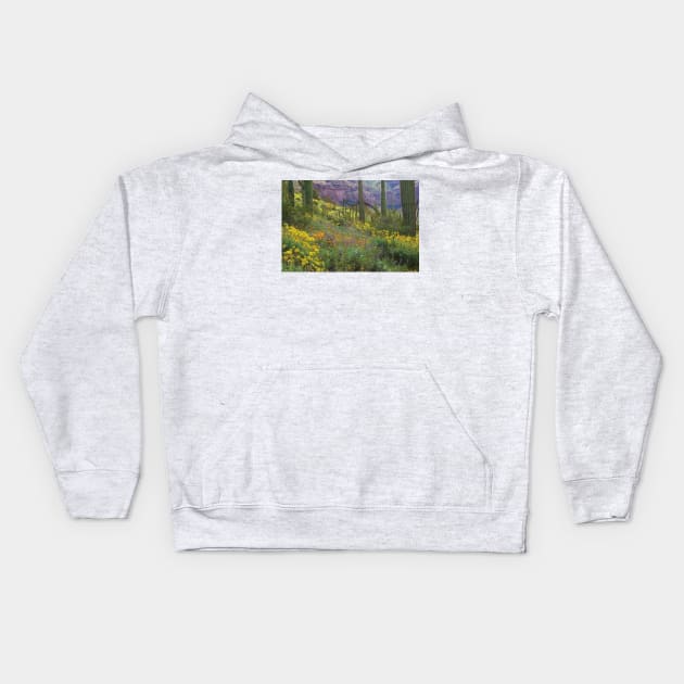 Saguaro Amid Flowering Lupine California Brittlebush Organ Pipe Cactus National Monument Kids Hoodie by AinisticGina